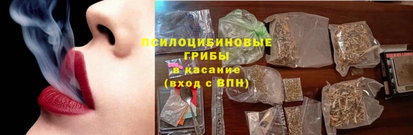 дмт Алзамай