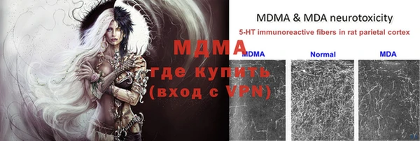 дмт Алзамай