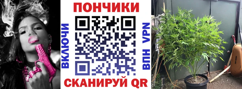 Шишки марихуана OG Kush  Артём 